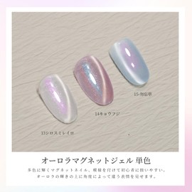 Coikaze Magnetic Nail, Single Color, Aurora, Magnetic Gel, Large Capacity 0.5 fl oz (15 ml), Gel Nail, Magnet, Color Gel, Gel Nail Color, Single Item, UV/LED Compatible, Magnet, 13 Silos Smireiro
