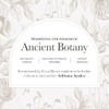 Anima Mundi Apothecary Matcha en Polvo