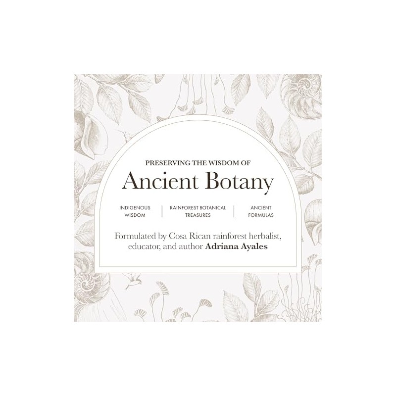 Anima Mundi Apothecary Matcha en Polvo