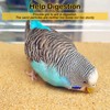 S&X Gravel Paper for Bird Cage 30-Pack 15" x 9.5"