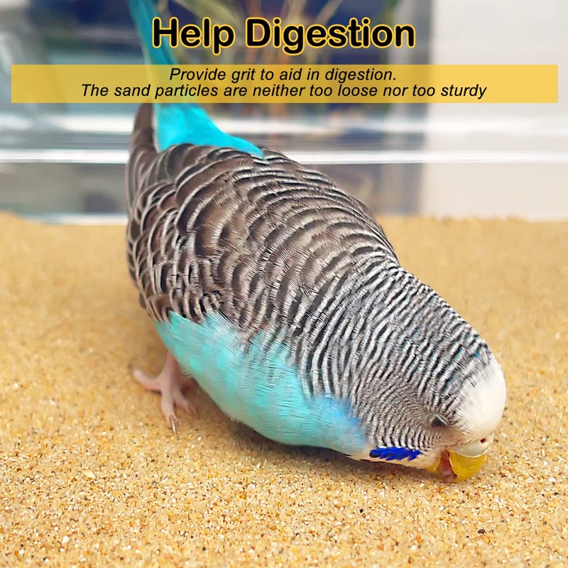 S&X Gravel Paper for Bird Cage 30-Pack 15" x 9.5"