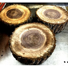 Green Valley Wood Products ONE (1) LARGE ROUND NATURAL FORM BLACK WALNUT BOWL BLANK LATHE TURNING ~8" X 3"