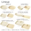 Takenaka T-26656 Dish Calm Dish, Square, Curry & Pasta, Made