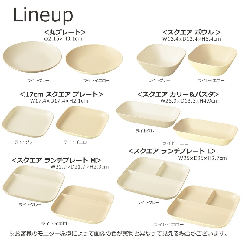 Takenaka T-26656 Dish Calm Dish, Square, Curry & Pasta, Made