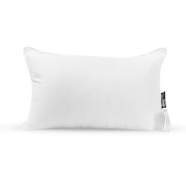Pillowtex 2 Pack White Throw Pillow Insert, 18x18 Overstuffed Polyester Sham Stuffer, Pillow Forms for Couches or Bedrooms