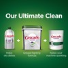 Cascade Platinum Dishwasher Pods, ActionPacs + Oxi, Dishwasher Detergent, Fresh
