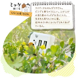 RAC2A2A02MIK USB Charger, AC USB-A, 2 Ports, Smart IC Included, Moba Nya, Movana, Total 2.4A, Cat Mikke, Cat