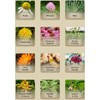 Natural Hope Herbals BLACK WALNUT TEA - Organic Herb Oral