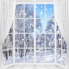 Winter Scene Backdrop Holiday Wonderland Snowflake Photography Background Window Forest