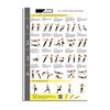 CLEAN SPORTS® Slingtrainer Workout Poster with Four Full Body Workouts