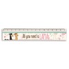 NICI La-la-lama Lounge Ruler 15 cm in Pen Holder