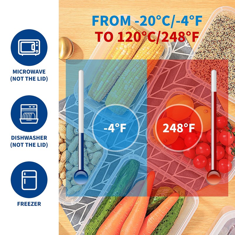 EASYLOCK 6 Pack 180ML Small Food Containers with Lids Airtight