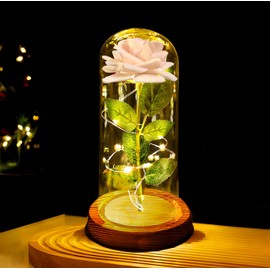 Birthday Gifts for Mother Women Mom Wife Sister Girlfriend,Glass Rose Flower Gifts for Mother, Light Up Rose in Glass Dome Gifts for her, Galaxy Rose Flowers in Glass Dome for Girlfriend, Wife