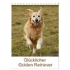 Glücklicher Golden Retriever (Tischkalender 2026 DIN A5 hoch), CALVENDO Monatskalender: