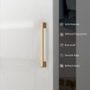 KNOKLOCK 10 Pack 3.75 Inch(96mm) Kitchen Cabinet Handles Champagne Bronze