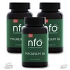 NFO MAGNESIUM B6 – 3er-Pack [3x120=360 Tabletten] Magnesium Komplex hochdosiert