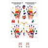 Sport-Tec Reflexzones Hand Mini Poster Anatomy 34 x 24 cm