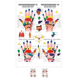 Sport-Tec Reflexzones Hand Mini Poster Anatomy 34 x 24 cm Medical Teaching Aid