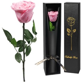 Yamonic Eternal Rose Gifts for Women, Infinity Rose with Stem, Birthday Gift Women, Real Rose in Gift Box, Gifts for Mum, Preserved Flower Gift, Valentine's Day, Christmas, Pink Rose