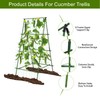 Flohover 70.9" H x 35.5" W Cucumber Trellis A Frame