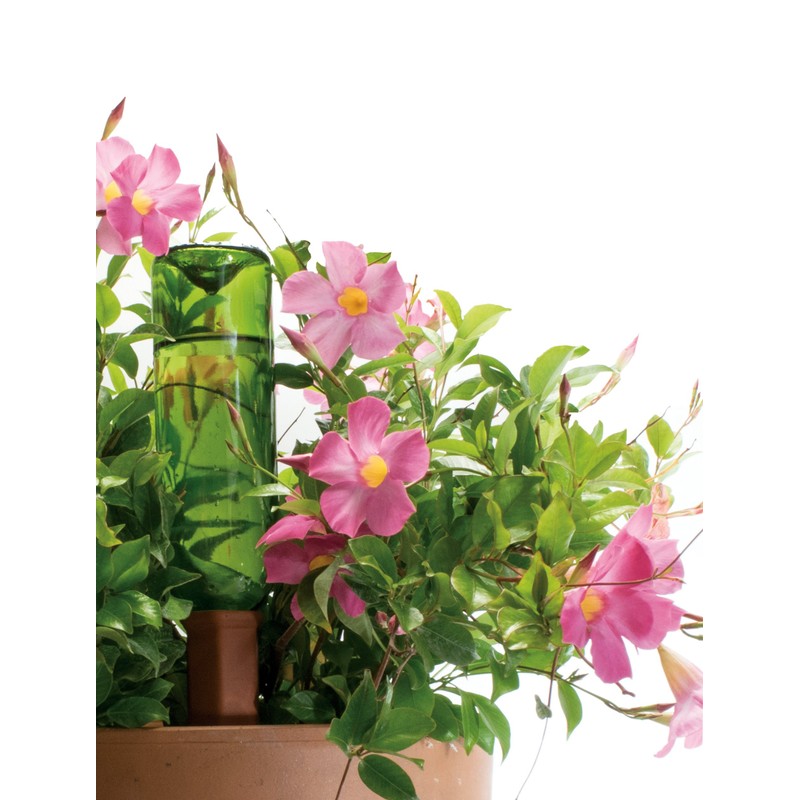 Plant Nanny Recycle a Wine Bottle Stake Set 4 Count