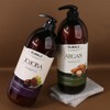 Food Aholic Bubble Therapy Jojoba Shampoo 1500ml/Large Size / 푸드어홀릭
