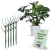 Twigs GA - Stackable Monstera Plant Support Stakes, Climbing Plants