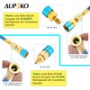 Aupoko AC Oil Injector Kit, R134A Oil Injector with R1234YF