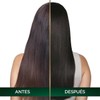 Tinte para cabello Nutrisse Oleos sin amoniaco 4.0 castaño