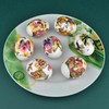 Diximus Moths & Butterflies Egg Wraps Thermo Heat Shrink Sticker