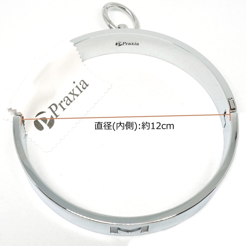 Praxia Metal Collar Lockable Choker, Letter M Design, Women's, Diameter