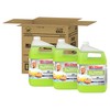 Mr. Clean Professional Bulk Liquid Concentrate Finished Floor Cleaner for