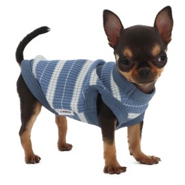 LOPHIPETS 100% Cotton Rib Dog Shirt Vest for Small Dogs Teacup Chihuahua Yorkie Puppy Clothes Tank Tee-Navy/XS