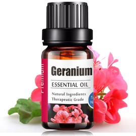 Aceites Esenciales de Geranio Aromaterapia - Natural 100% de Aceite Esencial Natural Conjunto de Difusores y Humidificadores con Caja de Regalo Exquisita (UVa Natural, 10 ML) (Geranio)