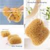 CALLARON 2pcs Japanese Exfoliating Washcloth Natural Sea Sponges Body Scrubbers