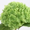 Coferset 5pcs Hydrangea Artificial Flowers Real Touch 20 inch Lifelike