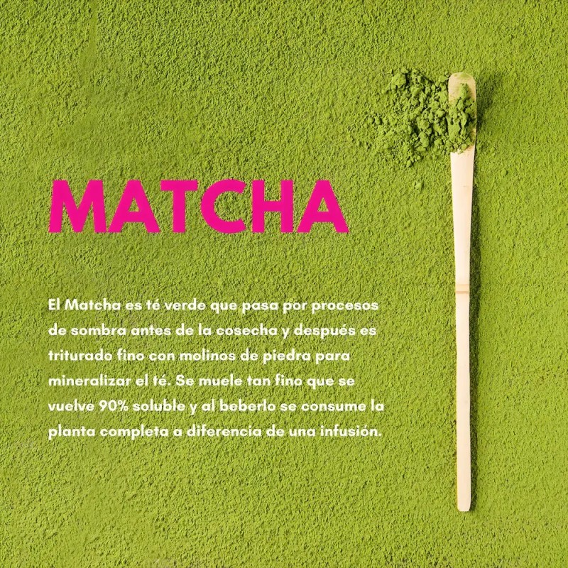 Té Verde Matcha Latte en Polvo Zoma Tea Collection 800g