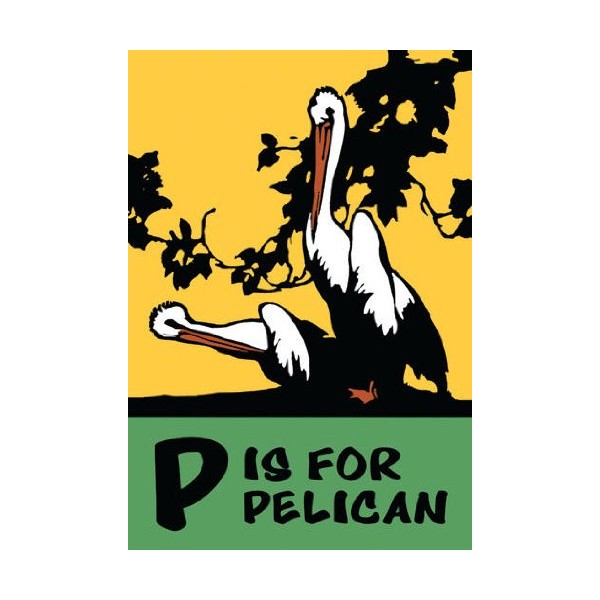 P is for Pelican 20x30 poster