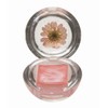Blossom Blossom Lip Gloss Duo Rugs, Rugs, Hawaiian Hawaii Hawaii