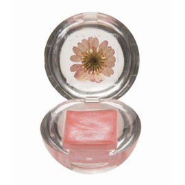 Blossom Blossom Lip Gloss Duo Rugs, Rugs, Hawaiian Hawaii Hawaii Souvenir Souvenir safety pink