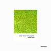 Lime Green Holographic Glitter Multi-Size 120g/4.2oz Metallic Resin Craft Glitter