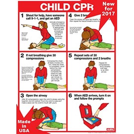 CPR for Children 18" X 24" Laminated Poster - 2011