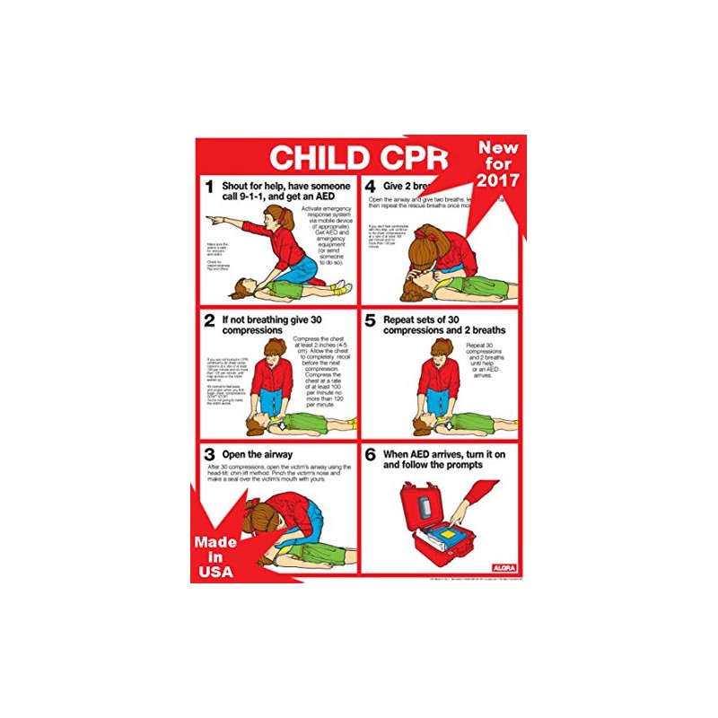 CPR for Children 18" X 24" Laminated Poster - 2011