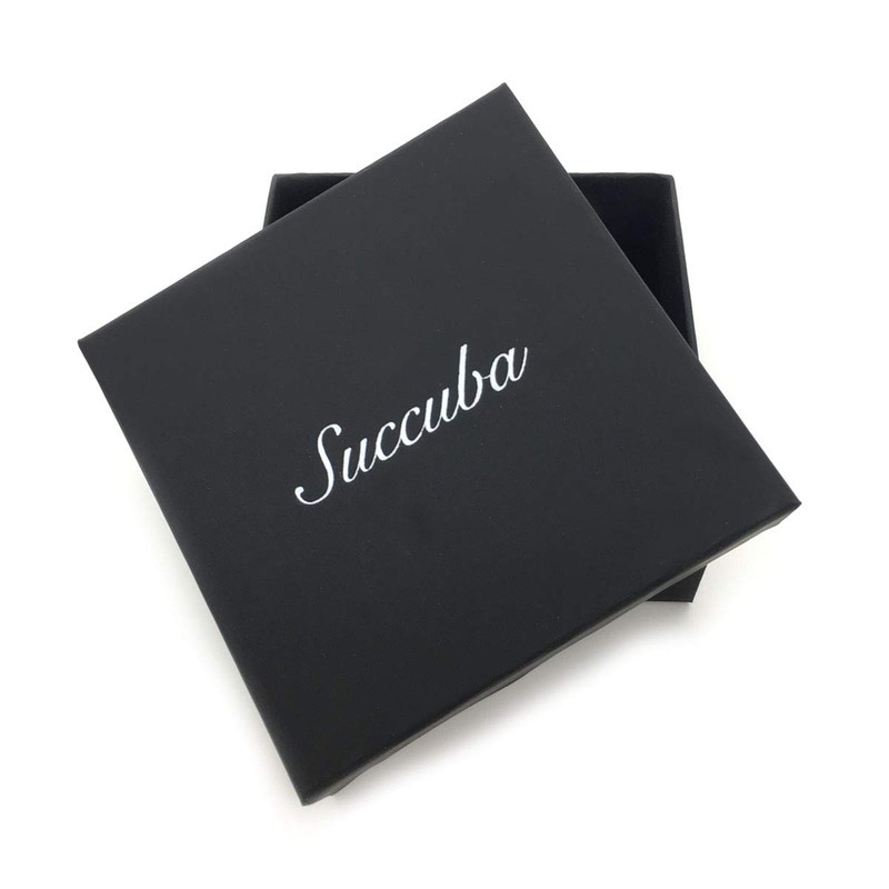 Succuba Padlock Necklace Chain Collar Choker with Two Keys and