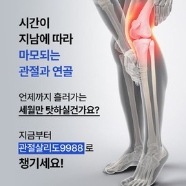 Palmsville Joint Saver 9988 Opti MSM 30 Capsules 1 Box / 관절살리도 9988 옵티 MSM 30캡슐 1박스