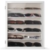 TJ.MOREE Sunglasses Organizer Storage Wall Mounted: 13 x 15.6 inches
