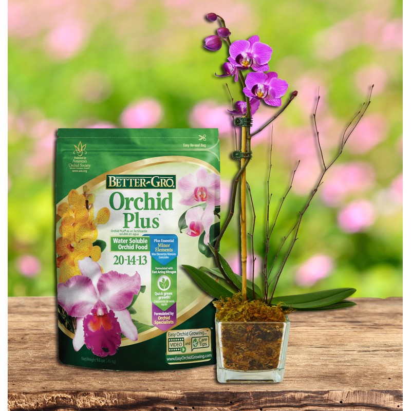 Better-Gro Orchid Plus 20-14-13 - Urea-Free Orchid Fertilizer for Vigorous