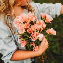 Peach Godetia - 250 Seeds - Beautiful Light Salmon Flowers, Great for Bouquets & Arrangements, Non-GMO Heirloom Godetia Seeds for Planting in The Home Garden, Thresh Seed Company