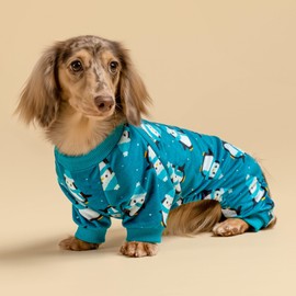 Fitwarm Cute Penguin Dog Pajamas, Dog Winter Clothes for Small Dogs Girl Boy, Cozy Dog Onesie, Soft Pet Jammies, Doggy Apparel, Teal Blue, Small