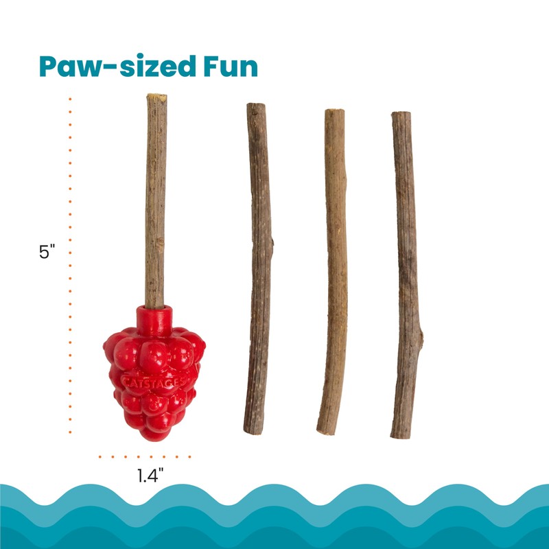 Catstages Dental Raspberry Teether with 4 Silvervine Sticks Included, Cat